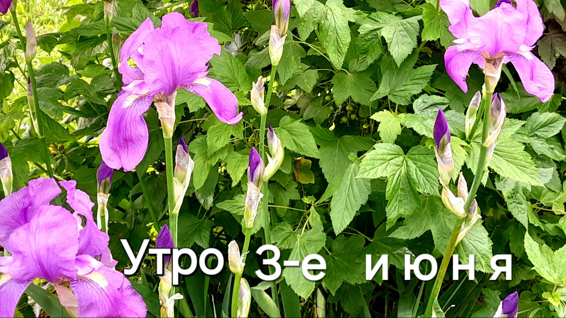 Утро 3-его июня 2026☕️🍳/ утренняя болталка о зубах😁