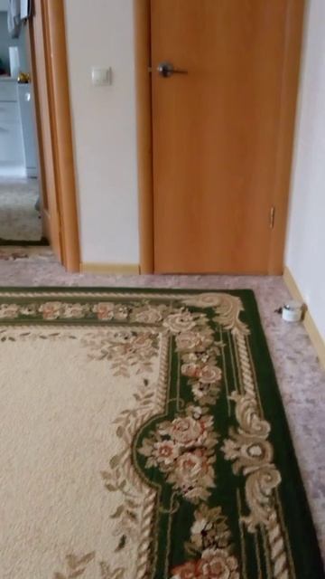 Сиреноголовый с длиной шеи. Это видео есть в лайках подпишись на меня в лайках сылка в описании