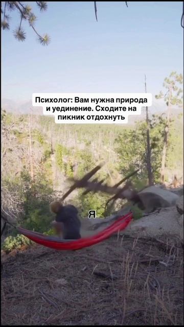 Нужно на пикник