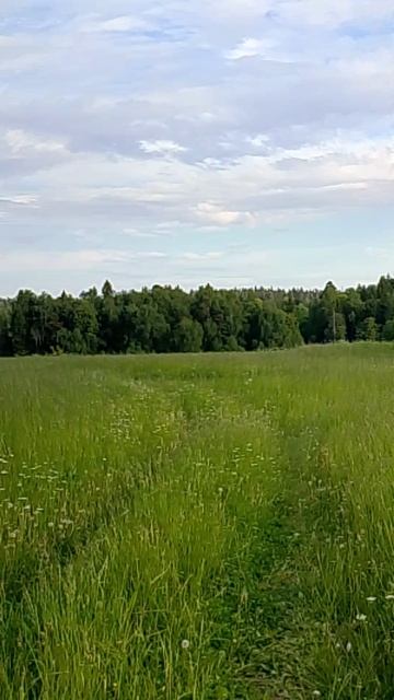 Макс убежал 04.06.2026.