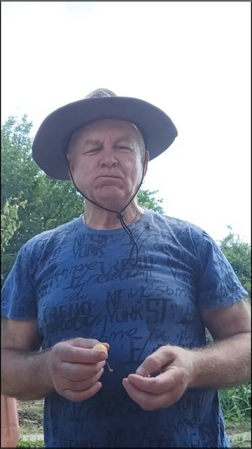 Ем черешню с одуванчиками.