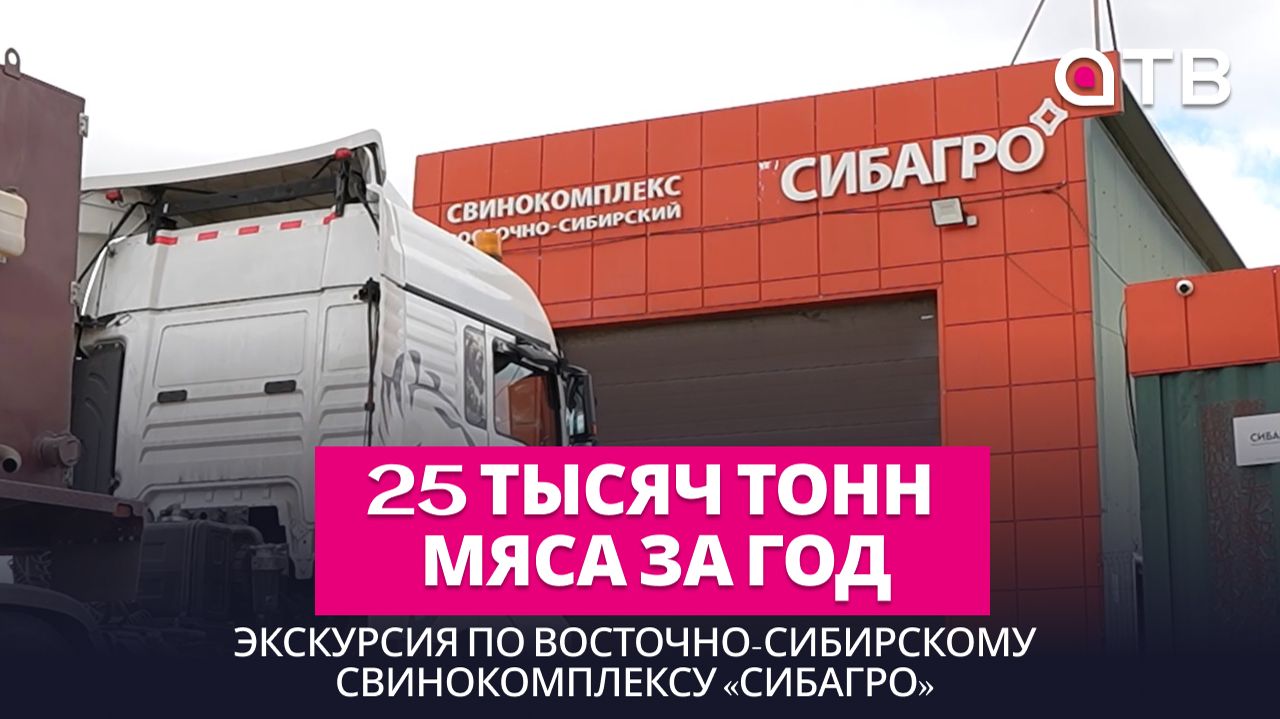 25 тысяч тонн мяса за год. Экскурсия по Восточно-Сибирскому свинокомплексу «Сибагро»