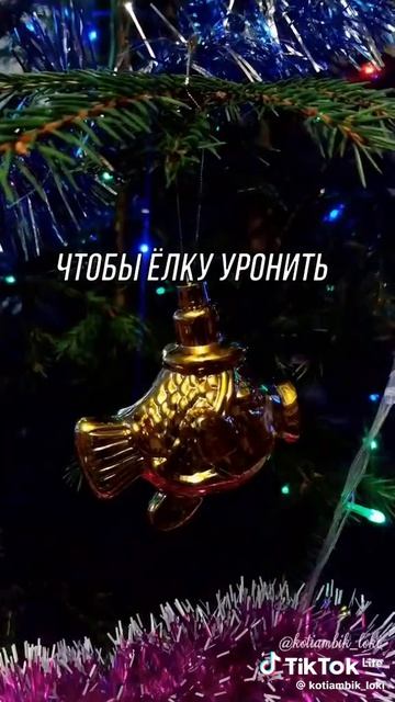 Котику холодно зимой!