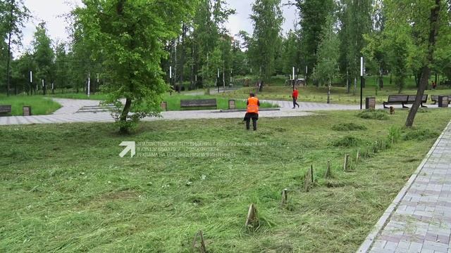 «Блок коротких новостей» 04.06.2026