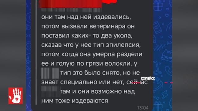 Ежедневный выпуск Агентство чрезвычайных новостей от 4 июня