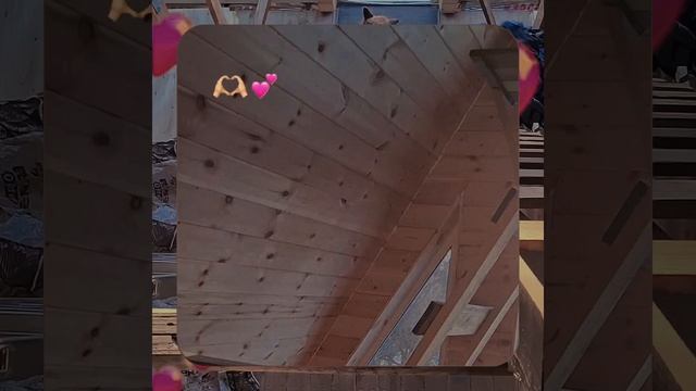 1000060972.mp4 (Собака наблюдает за укладкой пола из фанеры на 2-ом этаже в доме А-фрейм)
