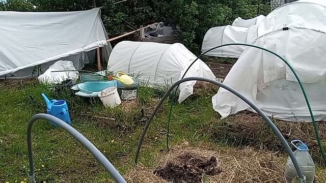 высадила в открытый грунт свою страшную рассаду огурцов,кабачков,начинаю строить потихоньку.