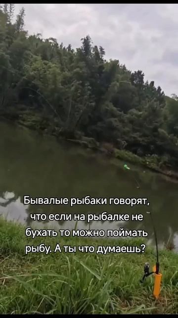 Что скажете?