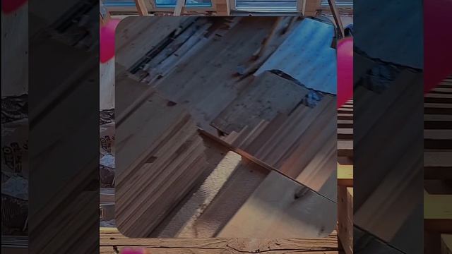 1000060967.mp4 (Собака наблюдает за укладкой пола из фанеры на 2-ом этаже в доме А-фрейм)