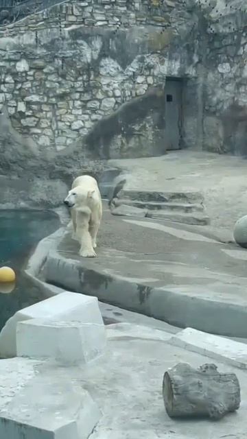Ну, кто желает померяться силой? Выходи!