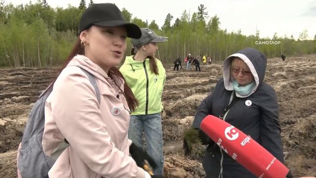 Югорчане высадили лес в память о героях Великой Отечественной войны