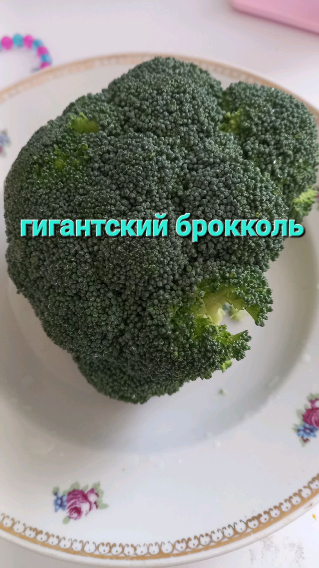 Ого гигантский брокколи!
