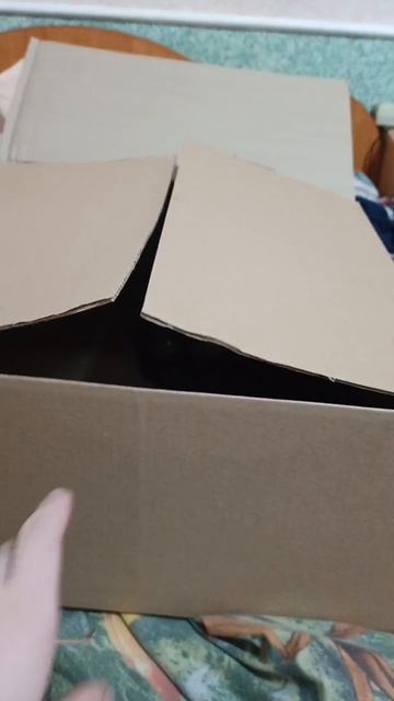 Что? Что там такое?