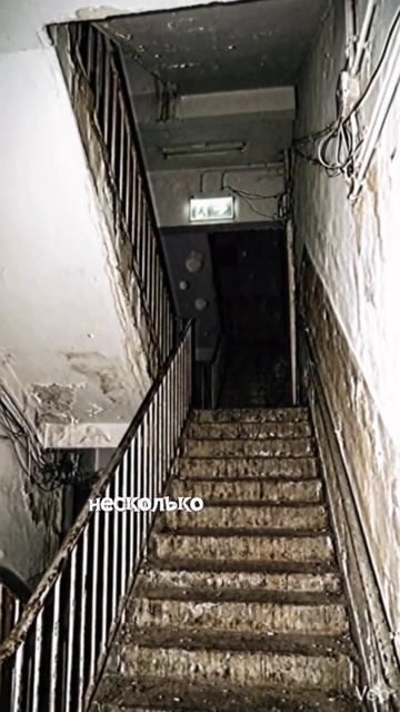 Часть 2 | Мутаген
#криппипаста #история #мутаген #creepypasta