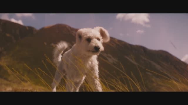 Супергёрл - Финальный трейлер (Субтитры, Фильм 2026) Милли Олкок