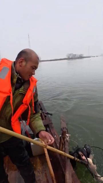 Видео от Департамент Кринжовых Видосов | ДКВ