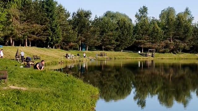 поимка карпа