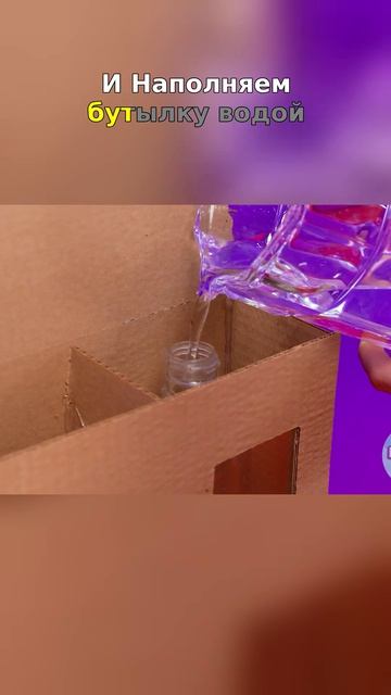 Уютная картонная коробка приносит радость любопытной кошке, пока собака выглядит Amused