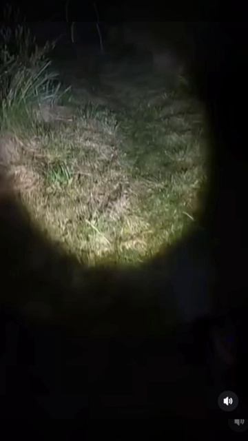 Ночь Призрак дом
