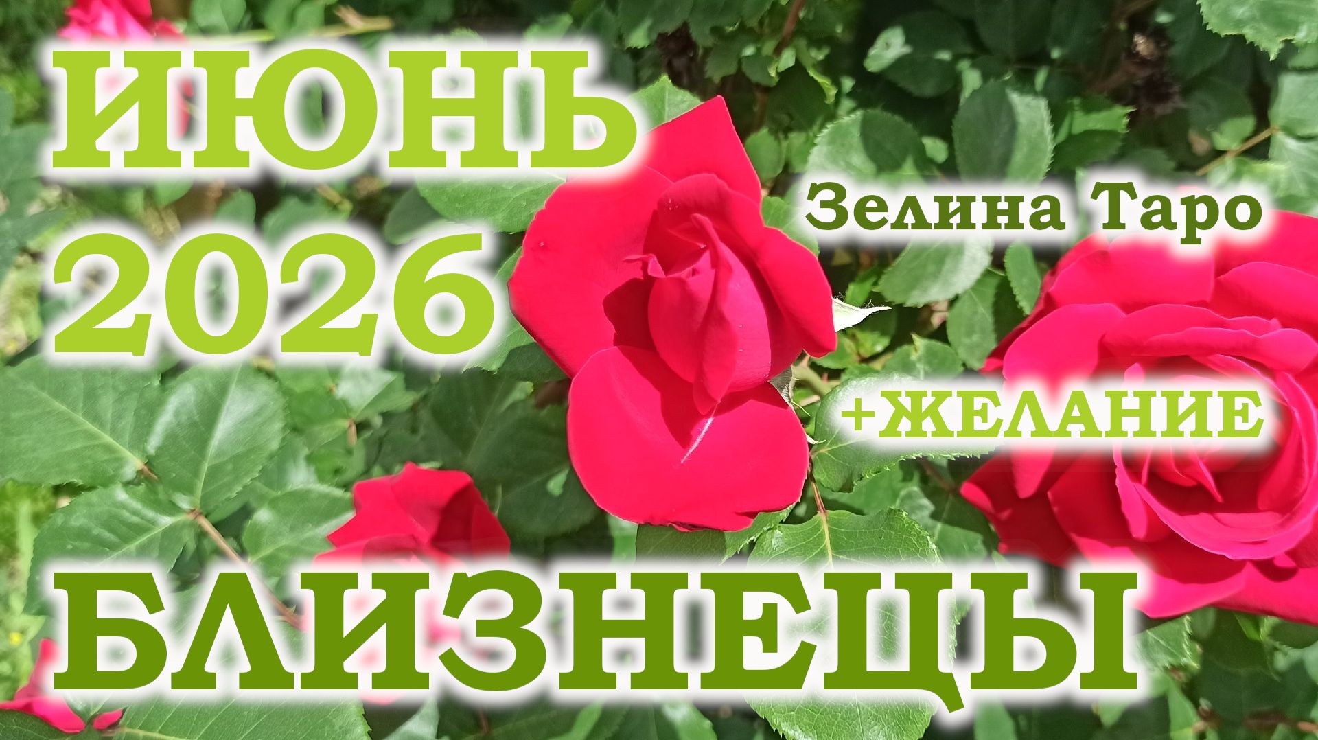 БЛИЗНЕЦЫ | ТАРО прогноз на ИЮНЬ 2026 года | Желание | Расклад таро