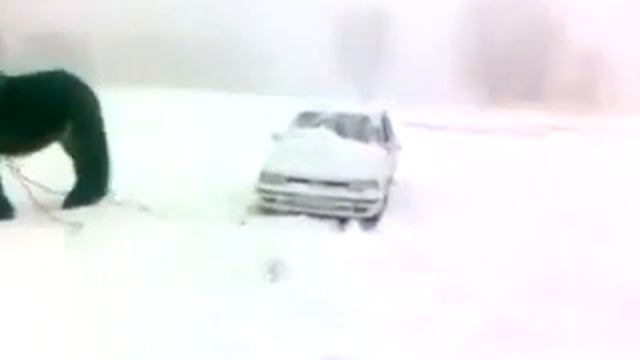 Достаточно всего одна лошадиная сила