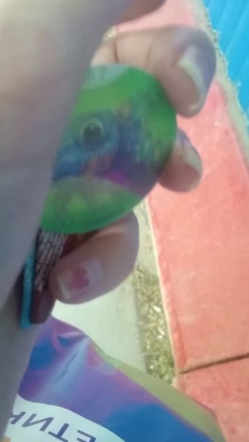 VID_20260601_131701.mp4