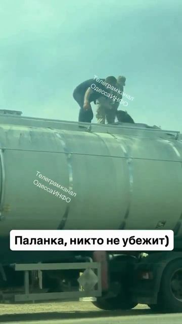 На трассе Одесса–Рени проверяют фуры и цистерны на наличие уклонистов !!!
