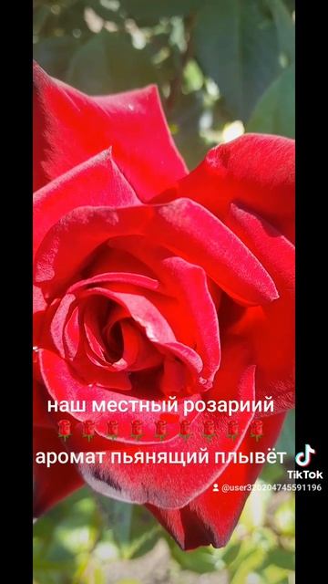 1000026885.mp4