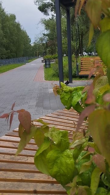 04-06-2026 Привет! Пошли погуляем.