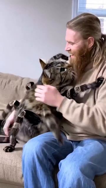 Обычный кот, ничего странного😄