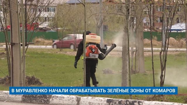 В МУРАВЛЕНКО НАЧАЛИ ОБРАБАТЫВАТЬ ЗЕЛЁНЫЕ ЗОНЫ ОТ КОМАРОВ