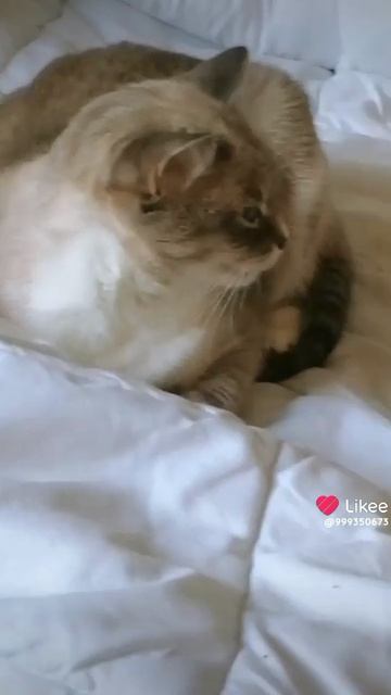 я не красивый 4 июня