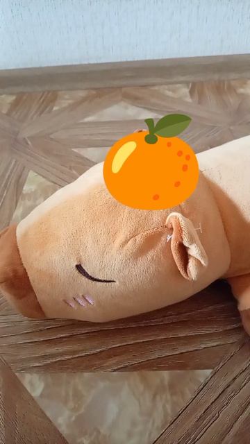 Капибара🥥