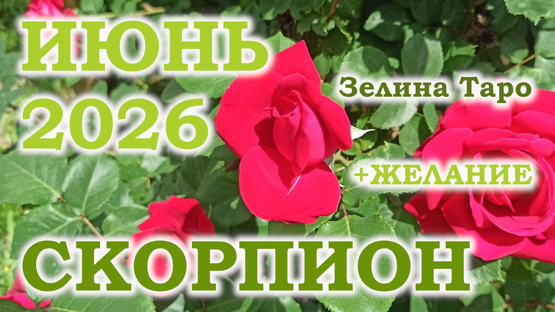 СКОРПИОН | ТАРО прогноз на ИЮНЬ 2026 года | Желание | Расклад таро