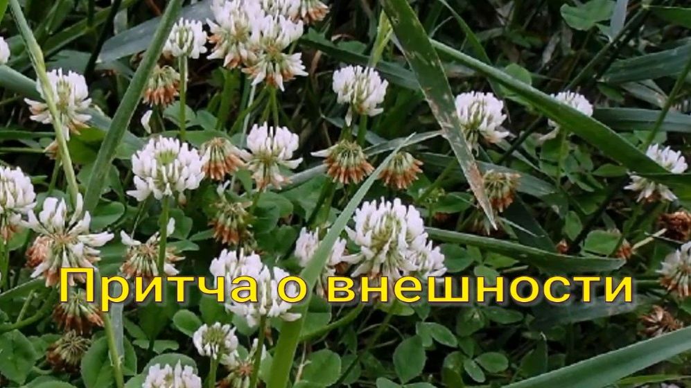 Притча о внешности. Стихи, монтаж и генерация звука в ИИ - Евгений Доставалов