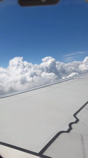 Отправляемся в новое путешествие 🛫