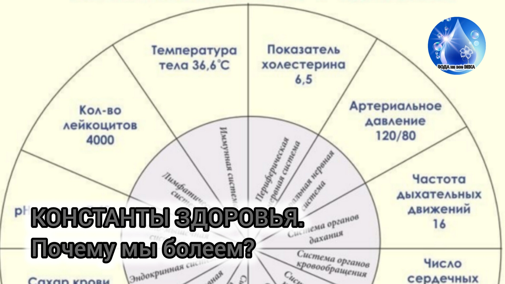 💥КОНСТАНТЫ ЗДОРОВЬЯ. Почему мы болеем? О.А.Бутакова