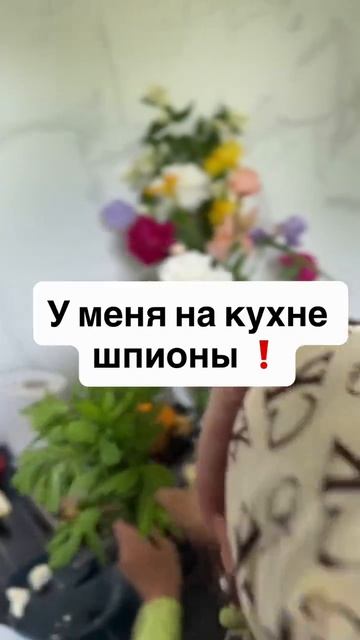 Видео от Департамент Вирусного Контента | ДВК