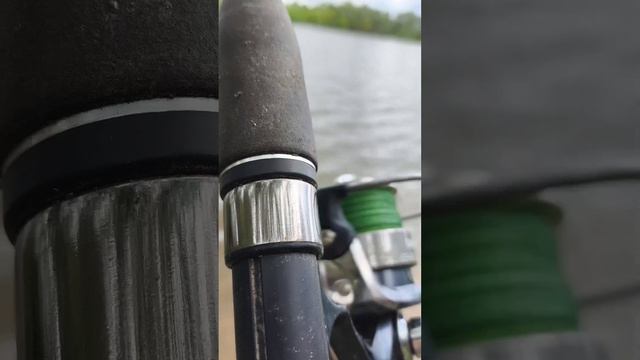 Лещ это вещь!!! Крупнее день ото дня.