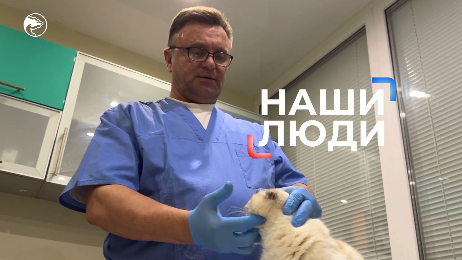 Ветеринар с большим сердцем: как Виталий Подопригора 20 лет спасает животных, в том числе в зоне СВО