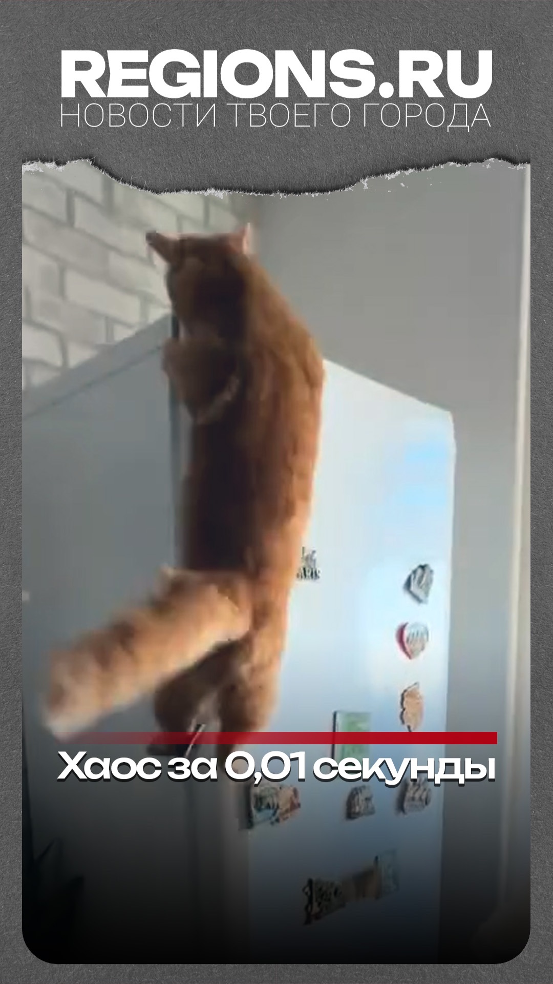 Хаос за 0,01 секунды