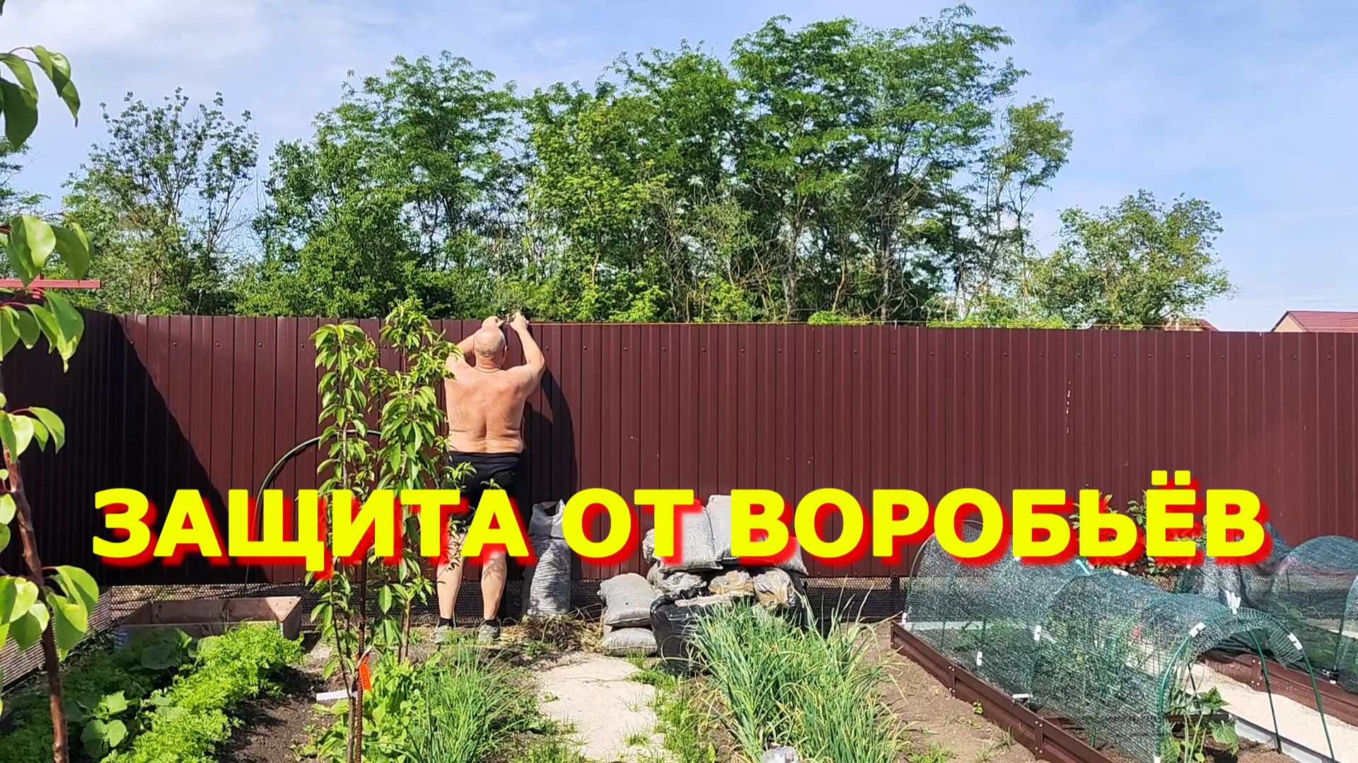 99. Защищаемся как можем.