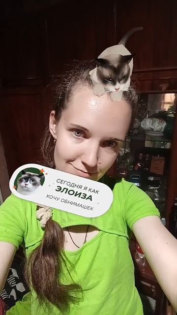 Какой я котик сегодня? 🤔