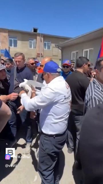 Голубь Мира Пашиняна