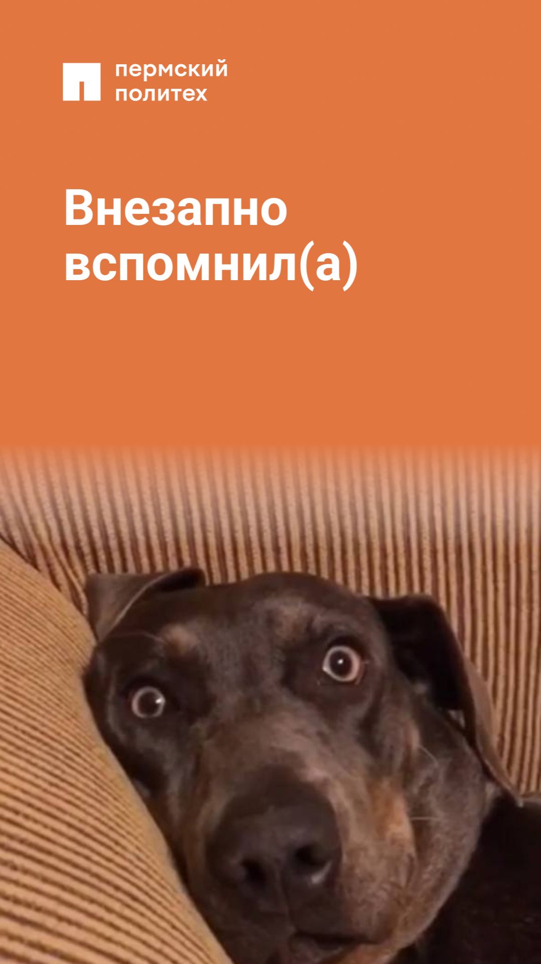 Внезапно вспомнил(а)