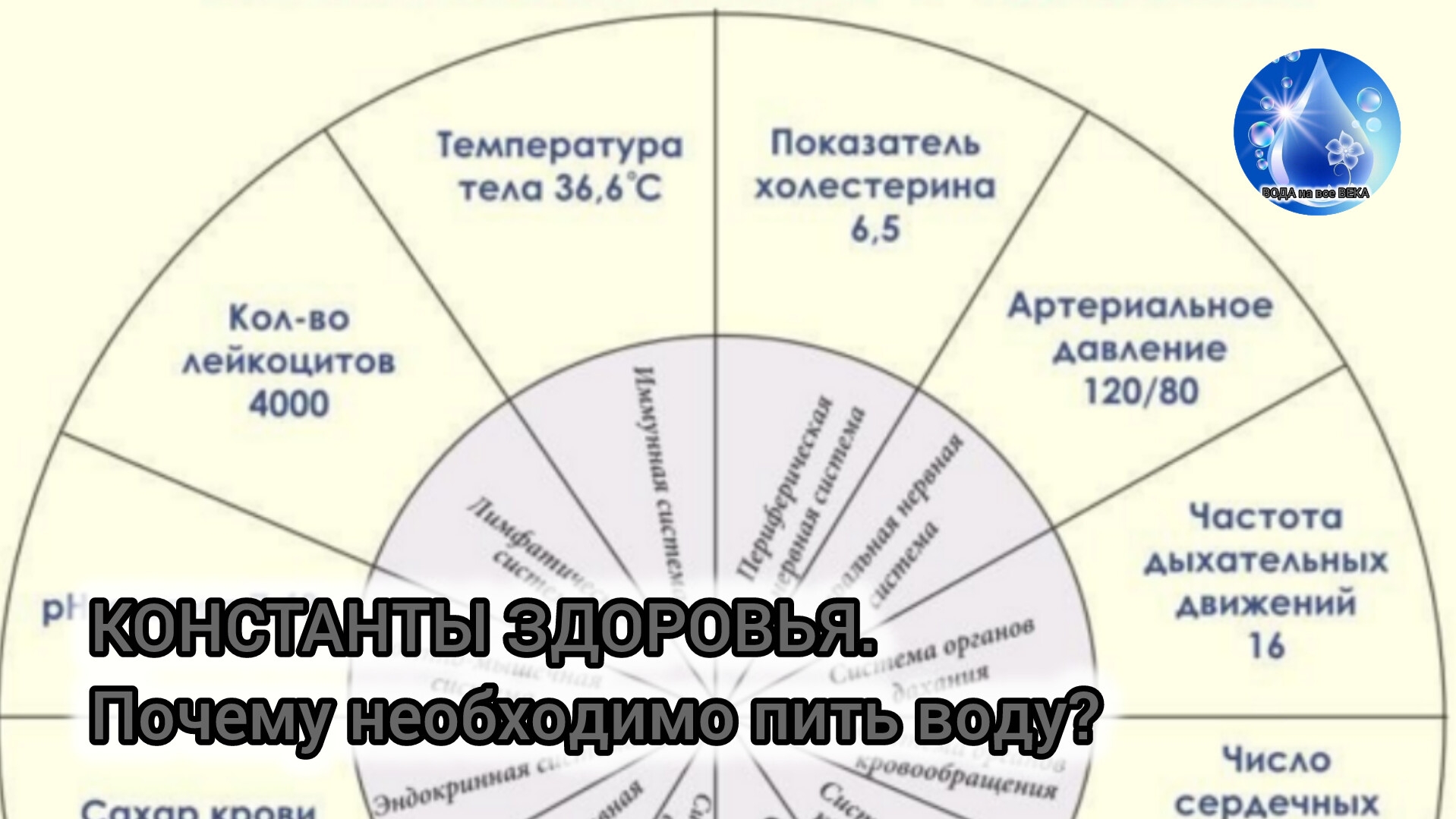 💥КОНСТАНТЫ ЗДОРОВЬЯ. Почему необходимо пить воду? О.А.Бутакова