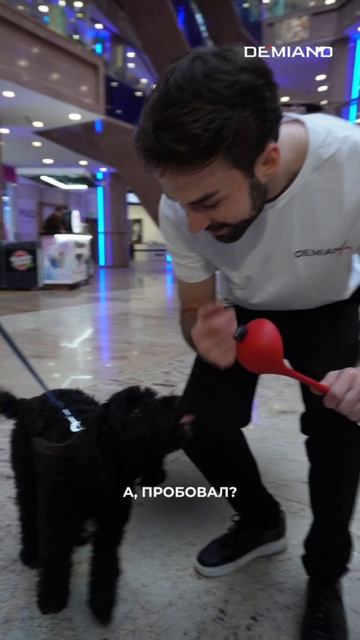 Шашлык, перед которым не устоит никто — даже ваш хвостик 🥩🐶