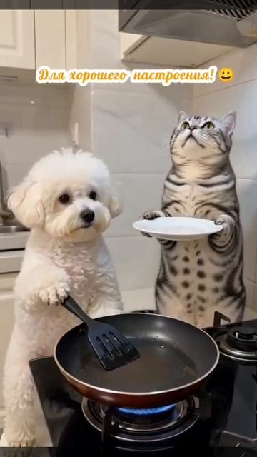 Для настроения 😃))