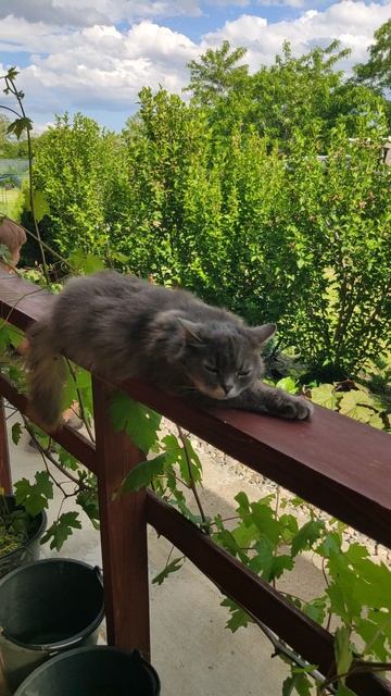 Вот и лето пришло!