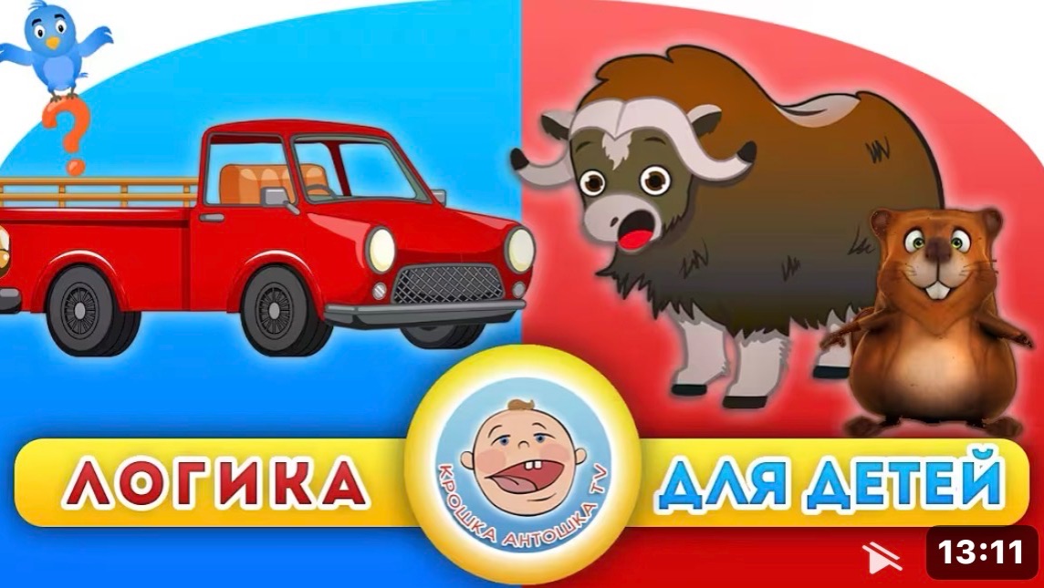 Животный и Транспорт